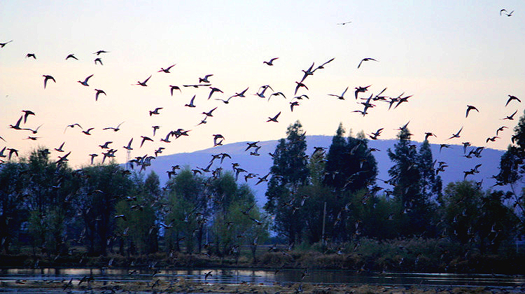 �Q�c &mdash; С�B������ - xiaofang - ��ŵĲ���