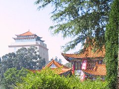 2013����ɽ���� �P(gu��n)���Є�